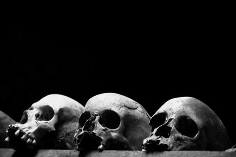Drei Schädel am unteren Bildrand sind hell ausgeleuchtet. Der Rest des Bildes ist schwarz.