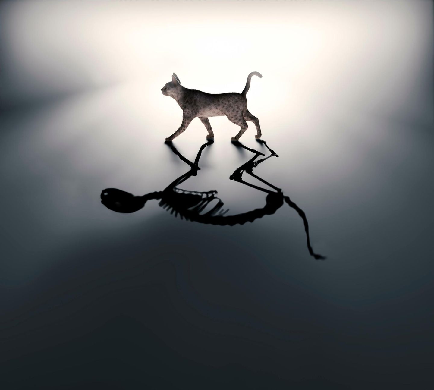 Ein berühmtes Gedankenexperiment zeigt, wie bizarr das quantenmechanische Phänomen der Überlagerung ist: Eine Katze ist darin zugleich tot und lebendig