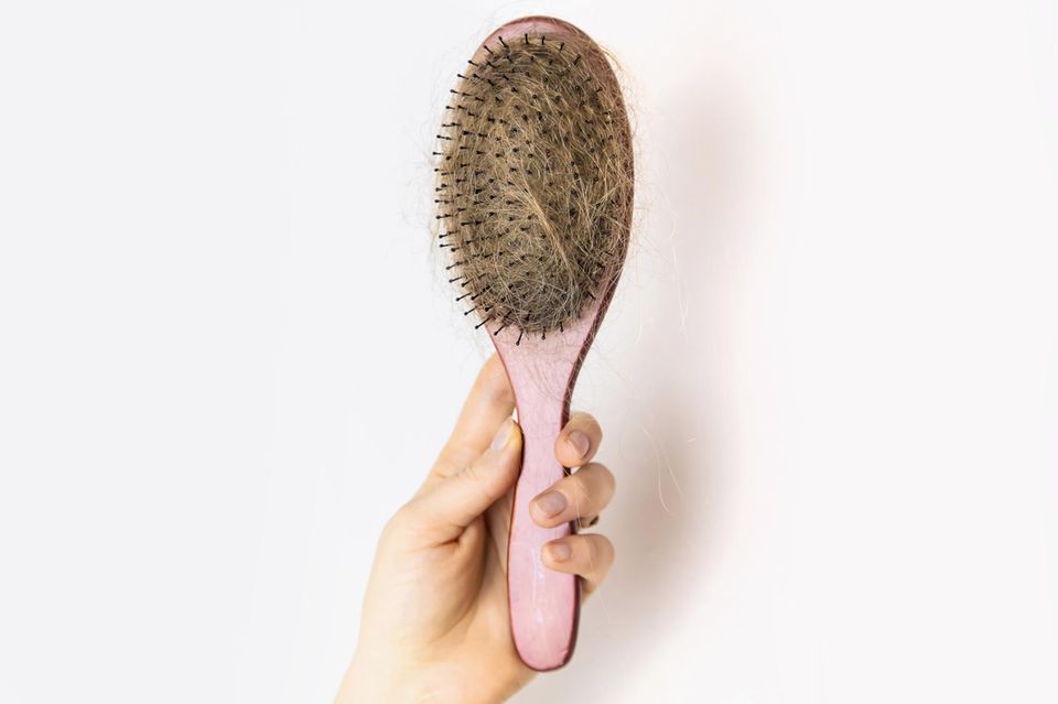 Haare auf einer Bürste