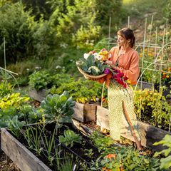 Ob für den kleinen oder großen Selbstversorger-Garten: Diese Geschenkideen kommen bestimmt gut an