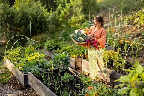 Ob für den kleinen oder großen Selbstversorger-Garten: Diese Geschenkideen kommen bestimmt gut an