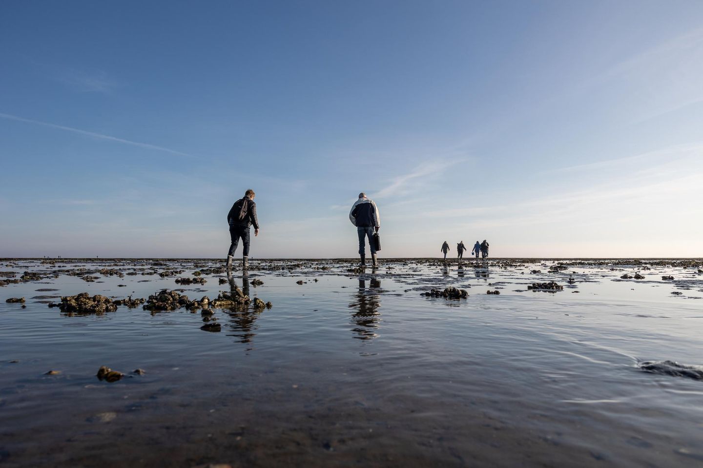 Strandspaziergänger