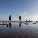 Strandspaziergänger