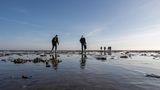 Strandspaziergänger
