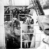 Das Team der Schwammtaucher mit Vertretern der griechischen Regierung auf dem Marineschiff Mykali