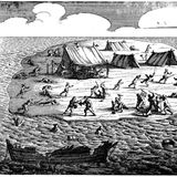 Sieben Schiffe der Niederländischen Ostindien-Kompagnie verlassen im Oktober 1628 Texel Richtung Batavia, des heutigen Jakarta. An Bord des gleichnamigen Schiffs befindet sich ein unangenehmer Zeitgenosse, der viele Seemeilen zwischen sich und seine Heimat bringen möchte: Jeronimus Cornelisz, ein niederländischer Apotheker, bankrott und übel beleumundet, seit sein neugeborener Sohn an Syphillis gestorben ist. In den folgenden Monaten wird die "Batavia" von den anderen Schiffen getrennt, an Bord kommt es zu Streit, die 27-jährige Lucretia van den Mylen wird von mehreren Männern angegriffen und sexuell mishandelt, nachdem sie Cornelisz' Avancen abgelehnt hat. Und dann läuft das Schiff auf ein Riff. Während Kapitän, Kommandant und die meisten Offiziere aufbrechen, um im 3000 Kilometer entfernten Batavia Hilfe zu holen, errichtet Cornelisz ein Schreckensregime. Über die kommenden Monate lässt er rund 120 überlebende Frauen, Männer und Kinder töten, einen Säugling erdrosseln. Van den Mylen und weitere Frauen müssen ihm und seinen Männern sexuell zu Diensten sein. Geschichte schreibt die "Batavia" vor allem nach der Rettung: Cornelisz und weitere Täter werden hingerichtet, zwei Männer aber an der Westküste Australiens ausgesetzt. Niemand hört je wieder von ihnen, doch gelten sie als erste europäische Siedler auf dem Kontinent.