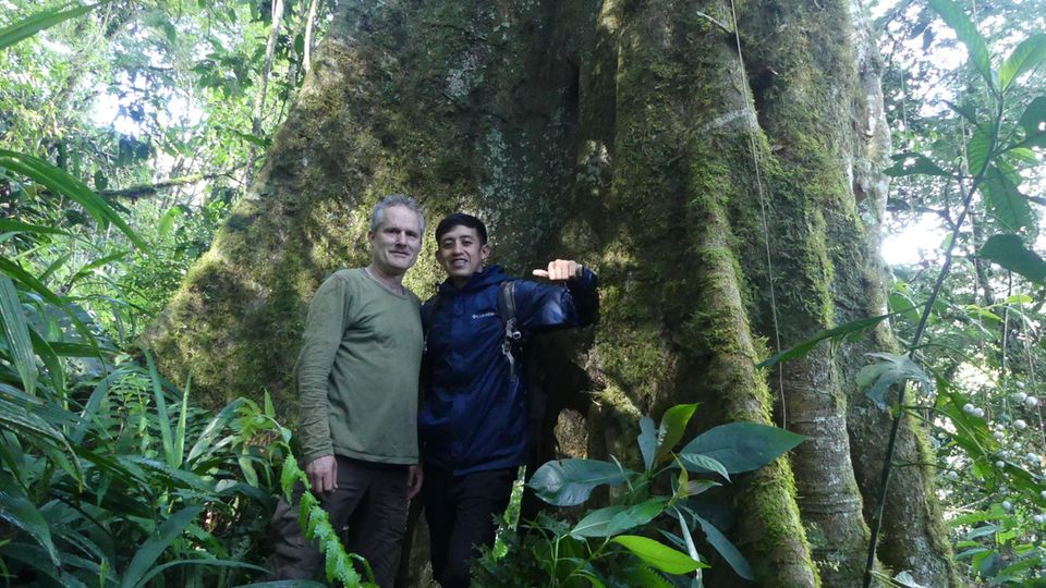 Frank Löwen (links) im Bergnebelwald von Intag. Der Forstwirt kümmert sich bei "GEO schützt den Regenwald" vor allem um Lateinamerika