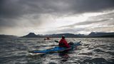 Kajakfahrer, Kajakausflug zur Insel Vigur, Fjord Ísafjarðardjúp, Isafjardardjup, Westfjorde, Island, Europa