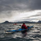 Kajakfahrer, Kajakausflug zur Insel Vigur, Fjord Ísafjarðardjúp, Isafjardardjup, Westfjorde, Island, Europa