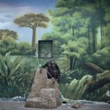 Nachdenklich wirkt der Schimpanse im Wild Animal Park von Shanghai, vor aufgemalter, vage afrikanischer Landschaft, auf einem künstlichen Felsen. Zed Nelson hat für sein Projekt der Entfremdung des Menschen von der Natur nachgespürt – und gleichzeitig der Sehnsucht des entfremdeten Menschen nach Grün und Wildnis. Dafür wurde der Brite als "Fotograf des Jahres" ausgezeichnet.  Sieger, professioneller Wettbewerb, "Natur und Tierwelt", "Fotograf des Jahres"