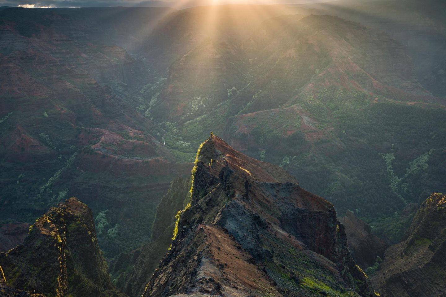 Waimea Canyon, Hawaii Ein Mann steht vor dem Waimea Canyon bei Sonnenaufgang, Kauai, Hawaii, Amerika, USA