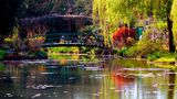 Monets Garten in Giverny. Eine Brücke über einem See. Daneben Pflanzen und Bäume.