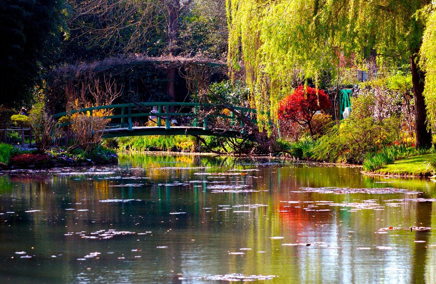 Monets Garten in Giverny. Eine Brücke über einem See. Daneben Pflanzen und Bäume.