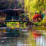 Monets Garten in Giverny. Eine Brücke über einem See. Daneben Pflanzen und Bäume.