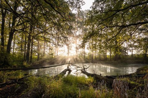 Naturschutz: Unterstützen Sie uns mit Ihrer Spende