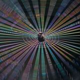 Bewegungslos sitzt diese winzige Spinne im Zentrum ihres Netzes. Michael Thiel hat für dieses Foto auf einen Tag gewartet, an dem der Wetterbericht Sonne versprach, hat früh morgens eine Baumschule im südkoreanischen Jinju besucht und die horizontal gespannten Netze Richtung Osten abgelichtet, in den Sonnenaufgang hinein. Leichter Wind brachte die Fäden zum Schwingen und das Licht darin zum Brechen.