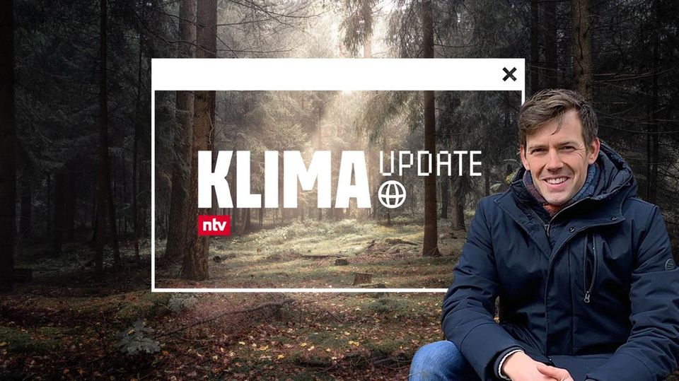 Klima Update Spezial: Können wir die Welt retten, indem wir Bäume pflanzen? Klima Update Spezial: Können wir die Welt retten, indem wir Bäume pflanzen?