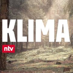 Klima Update Spezial: Können wir die Welt retten, indem wir Bäume pflanzen?