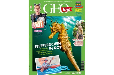 Cover GEOlino 05-2025: Seepferdchen