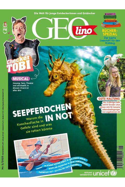 Cover GEOlino 05-2025: Seepferdchen