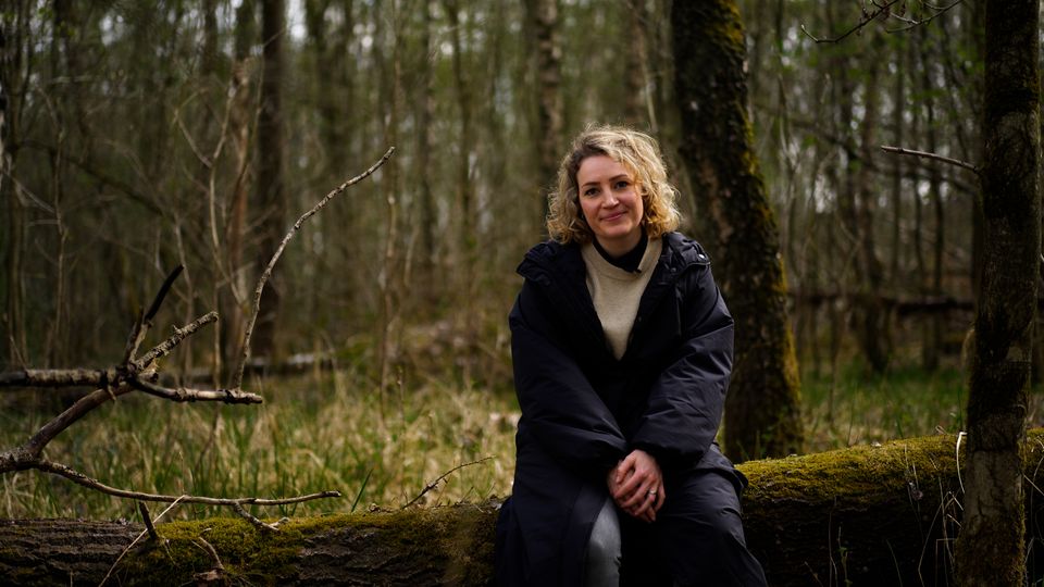 GEO schafft Wildnis e.V.: Waldschutz ist Klimaschutz: Deutschlands Wildnis braucht Ihre Hilfe