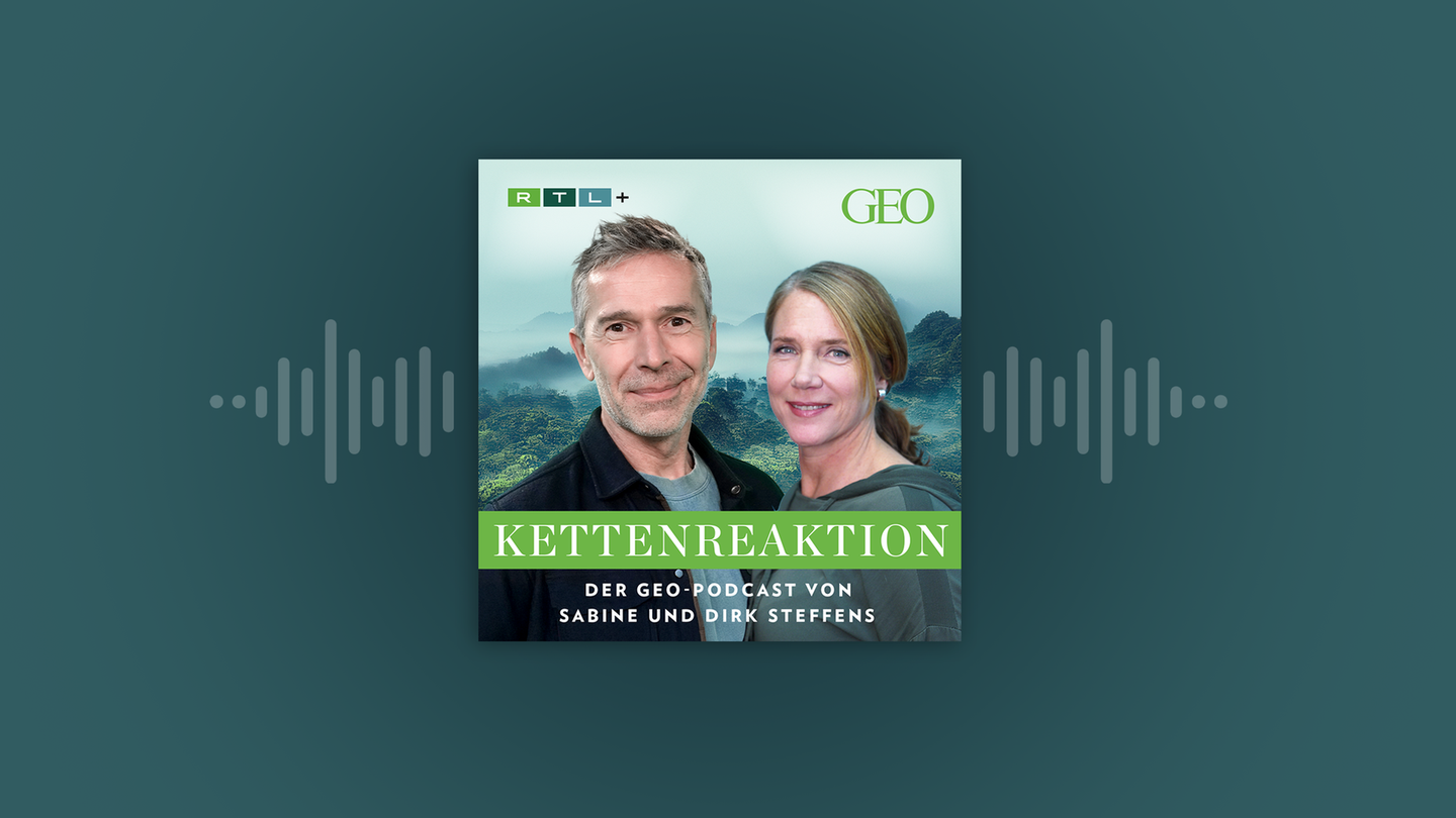 Podcast: Kettenreaktion – mit Sabine und Dirk Steffens