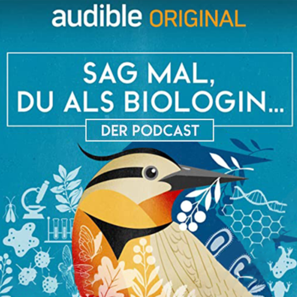 Sag mal, du als Biologin: Ist die Angst vor Spinnen angeboren?