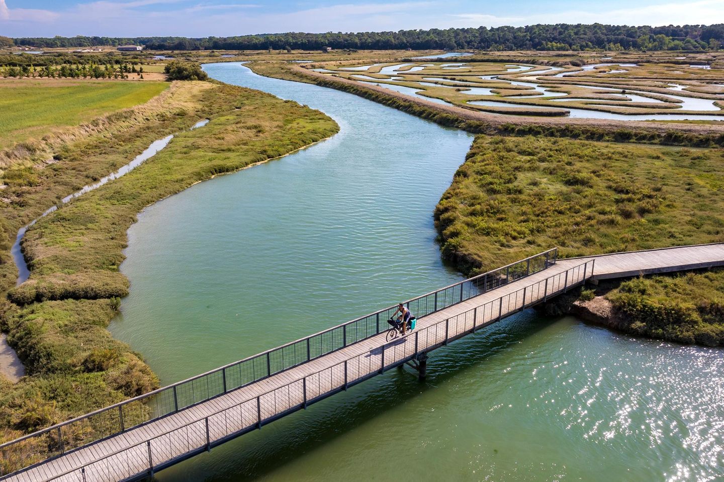 France, Vendée (85), Talmont Saint Hilaire, Guittière marshes in the hinterland of Pointe du Payré, footbridge over the Payré  Velodyssee.