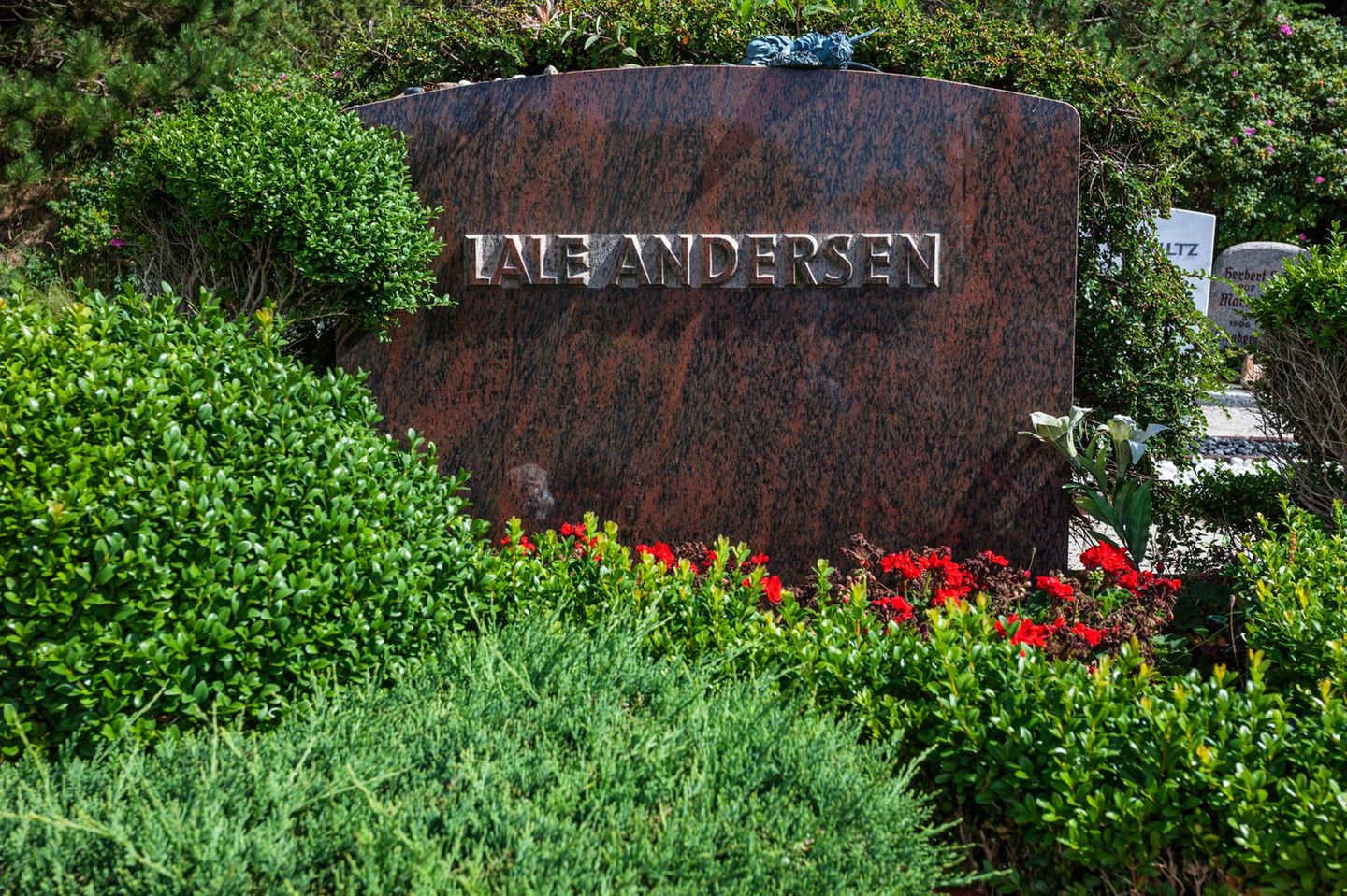 Besuch auf dem denkwürdigen Dünenfriedhof Dünenfriedhof auf Langeoog