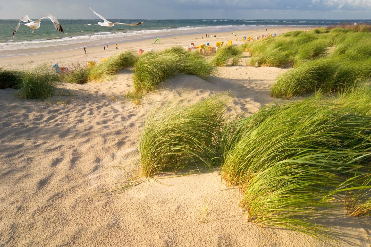 Balsam für die Seele auf den Thalasso-Kurwegen Thalasso-Badestrand