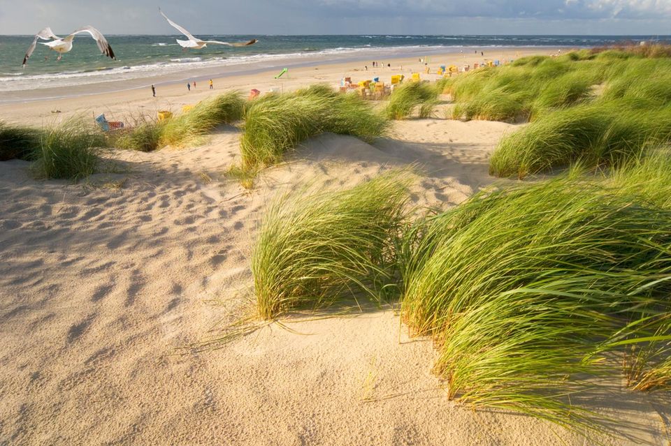 Thalasso-Badestrand