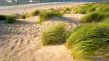 Thalasso-Badestrand