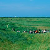 Flinthörn Schutzgebiet