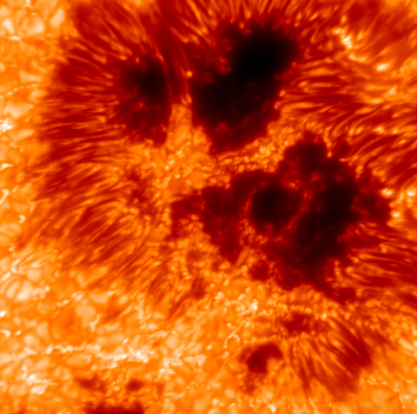 Das "Daniel K. Inouye Solar Telescope" auf Hawaii, seines Zeichens das größte Sonnenteleskop der Welt. Sein Herzstück, ein Spektropolarimeter von der Größe einer Garage, lichtete unseren Stern nach 15 Jahren Entwicklungszeit nun zum ersten Mal ab. Zu sehen ist ein 25.000 Kilometer langer und breiter Ausschnitt der Sonnenoberfläche. Die dunklen Flecken sind kühlere Regionen mit starkem Magnetfeld, von denen mehrere Tausend Kilometer lange Gasströme fortfließen.   Das Instrument namens VTF, das am Leibnitz-Institut für Sonnenphysik in Freiburg entstand, schießt Hunderte hochauflösende Bilder pro Sekunde. Dabei zeigt es, je nach Einstellung, nur bestimmte Wellenlängen und Schwingungsrichtungen des Lichts. So lassen sich Temperatur, Druck, Geschwindigkeit und Magnetfeldstärke in verschiedenen Höhen der Sonne bestimmen. All diese Faktoren beeinflussen das Sonnenwetter, dessen Auswirkungen wir auch auf der Erde zu spüren bekommen – etwa in Form malerischer Polarlichter oder geomagnetischer Stürme.  KW 17