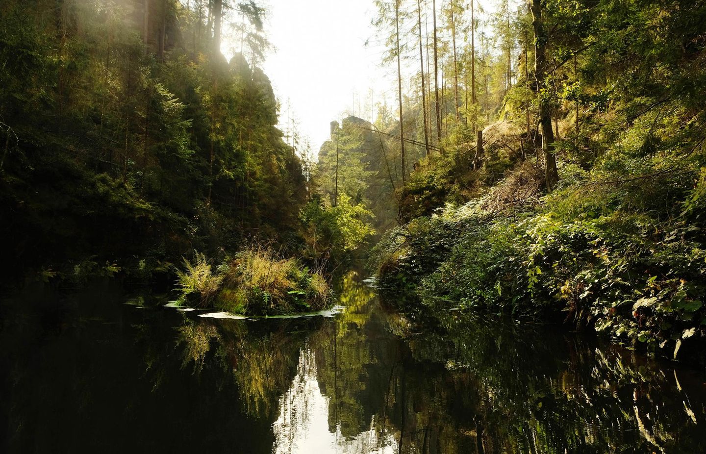 Klein, aber oho! Hinterhermsdorf Entdeckertour Schleuse im Kirnitzschtal