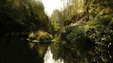 Schleuse im Kirnitzschtal