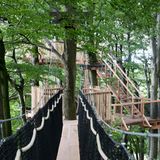 Baumkronenpfad am Hoherodskopf, Vogelsberg, Hessen, Deutschland