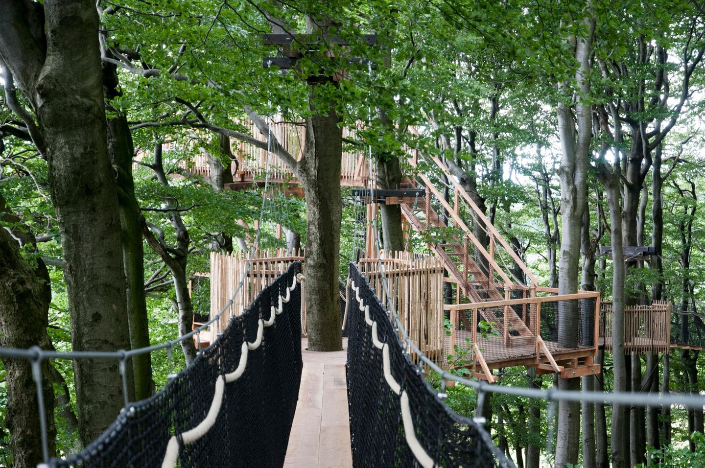 Baumkronenpfad am Hoherodskopf, Vogelsberg, Hessen, Deutschland