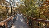 Baumwipfelpfad im Naturerlebnispark Panarbora-Park, Waldbröl, Oberbergischer Kreis, Nordrhein-Westalen, Deutschland