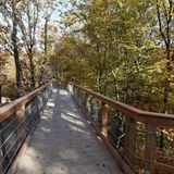 Baumwipfelpfad im Naturerlebnispark Panarbora-Park, Waldbröl, Oberbergischer Kreis, Nordrhein-Westalen, Deutschland