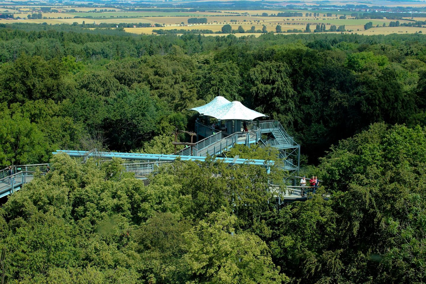 Deutschland, Thüringen, Nationalpark Hainich, Baumkronenpfad