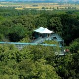 Deutschland, Thüringen, Nationalpark Hainich, Baumkronenpfad