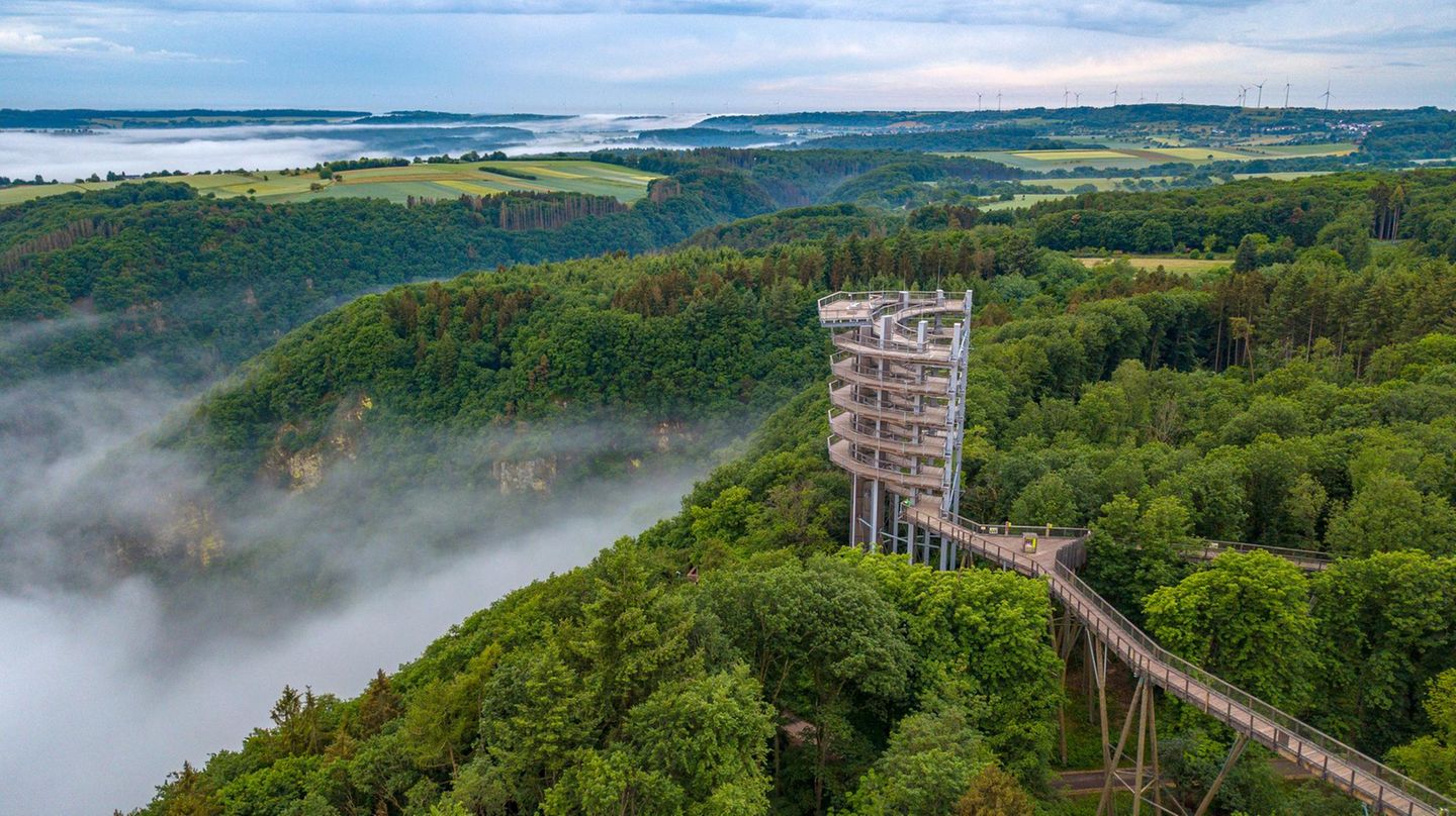 Baumwipfelpfad Saarschleife über der Saarschleife auf der Cloef bei Orscholz, Mettlach, Saartal, Saarland, Deutschland
