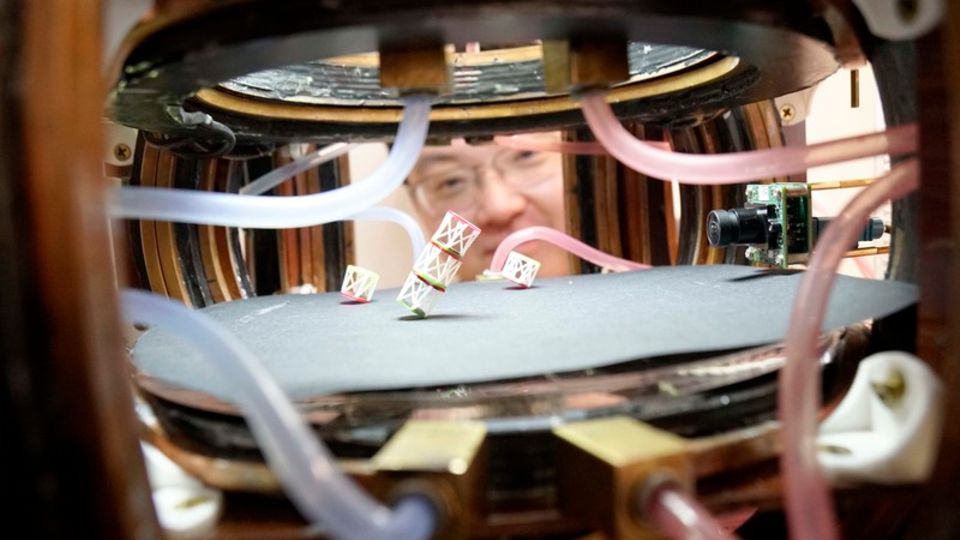 Magnetische Metabots: Roboter der Zukunft? Dieses Material bewegt sich ganz ohne Antrieb