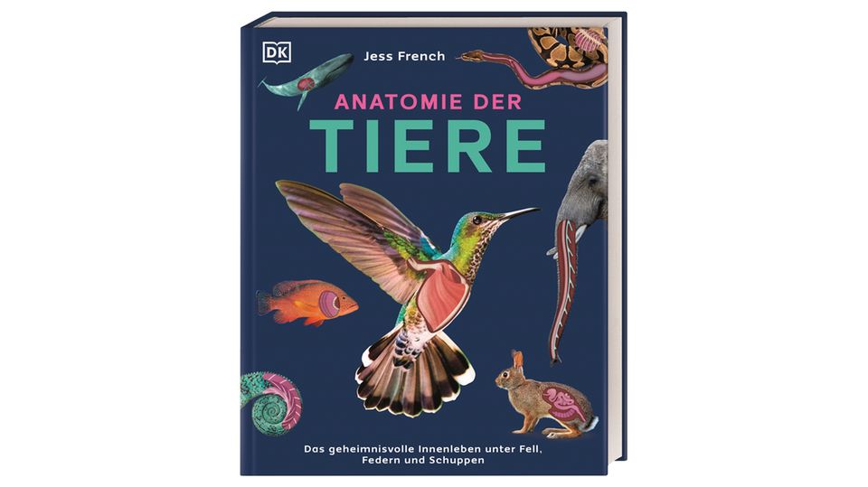 Buchtipps: Der beste Lesestoff für den Frühling