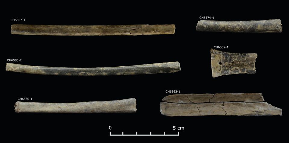 Das Archäologieteam stieß auf Röhrchen, geschnitzt aus hohlen Knochen, die zum Inhalieren von Tabak und halluzinogenem Rauschgift dienten
