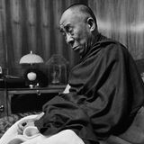 Sein Garten liegt allerdings nicht in seiner Heimat Tibet, sondern im indischen Dharamsala. Dorthin flüchtete der Dalai Lama 1959, nachdem China Tibet annektiert hatte. "Die systematische Unterdrückung ethnischer Tibeter wird bis heute unter dem Deckmantel des Antiseparatismus fortgesetzt", sagt der Tibetologe Oliver Schulz.