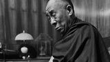 Sein Garten liegt allerdings nicht in seiner Heimat Tibet, sondern im indischen Dharamsala. Dorthin flüchtete der Dalai Lama 1959, nachdem China Tibet annektiert hatte. "Die systematische Unterdrückung ethnischer Tibeter wird bis heute unter dem Deckmantel des Antiseparatismus fortgesetzt", sagt der Tibetologe Oliver Schulz.