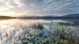 Sonnenaufgang am Staffelsee, im Hintergrund Berge