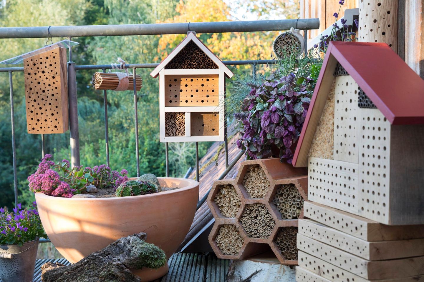 Wildbienen Nisthilfe auf dem Balkon